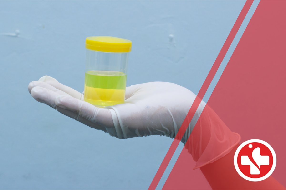 d med pharmacy urine screening testing